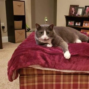 Meet your Posher, Jess